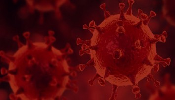 Sağlık Bakanlığı bugünün Koronavirüs raporunu açıkladı