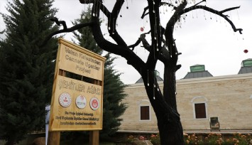 Şehitler Ağacı'ndan şehit askerlerin künyelerini çaldılar