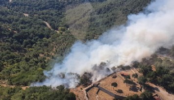 İzmir’de korkutan orman yangını: 1 uçak, 4 helikopter, 13 arazöz sevk edildi