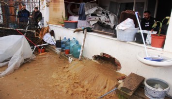 Bodrum'da sel faciası: Evleri su bastı, sokak hayvanları boğuldu