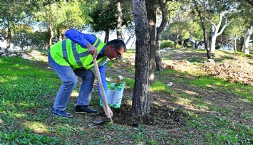 İzmir'de bitki atıklarını ekonomiye kazandıracak tesis