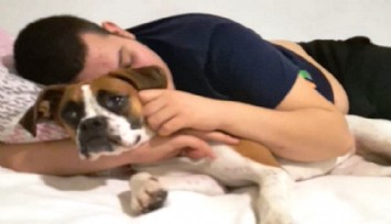 Silahlı dehşet: Otizmli gencin köpeğini pitbull zannederek silahla vurdu