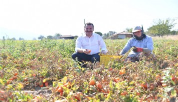 Balıkesir Büyükşehir üreticinin elini güçlendiriyor