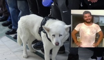 Yangında hayatını kaybeden Kaan Yalçın'ın son yolculuğuna köpeği Asya da uğurladı