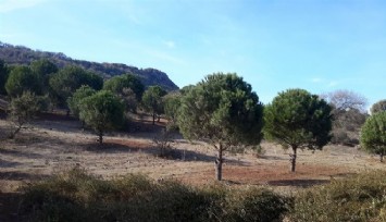 Bergama’da yeni bir SİT alanı daha belirlendi