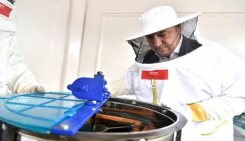 Bornova'da arıcılık eğitimleri başladı