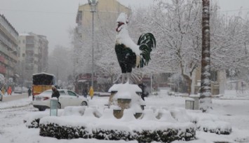 Denizli’de son 10 yılın yağışı