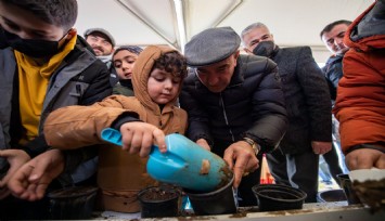 Soyer: Her bir ağaca karşı sorumluyuz