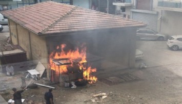 İzmir'de vicdansız vahşet: Kilitli kulübedeki köpek yakılarak öldürüldü