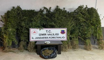  İzmir'in 4 ilçesinde uyuşturucu baskını: 14 gözaltı
