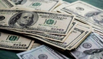 Ünlü ekonomistten yıl sonu tahmini: Dolar 20 TL'yi geçecek