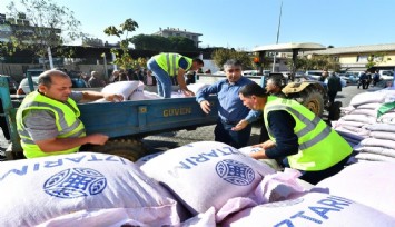 İzmir tarımında atalık buğday bereketi
