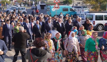 Ayvalık'ta zeytin hasat festivali başladı