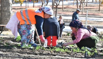 Mahalle Bostanı’nda kış sebzelerinin ekimi başladı