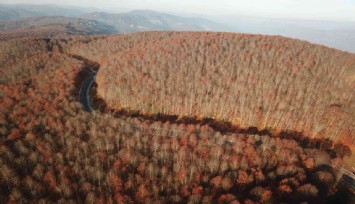 Perşembe Yaylası'nda sonbahar güzelliği