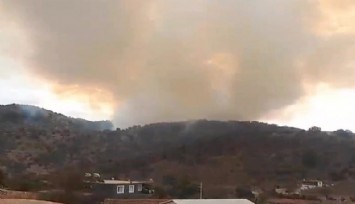 İzmir'de iki ilçede orman yangını  