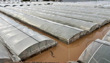 Türkiye’nin sebze ve meyve deposu güne felaketle başladı: Seralar sular altında
