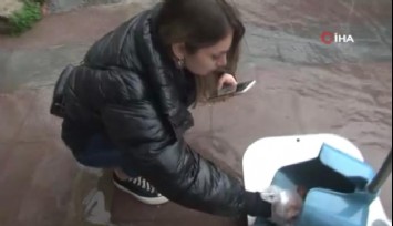 Konak'ta sele kapılan fareye kalp masajı