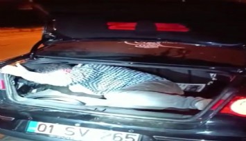 Hem darp edilip hem gasp edilen adam bagajdan çıktı