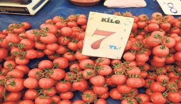 Pazarda sebze meyve yüzde 50 ucuzladı