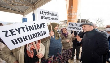 Başkan Soyer’den zeytinlik düzenlemesine tepki:  Zeytin ağaçlarının yok edilmesi asla kabul edilemez