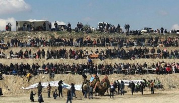 Denizli’de deve güreşi heyecanı