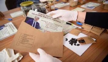 Bornova’nın tohumları postayla Türkiye’ye yayılıyor