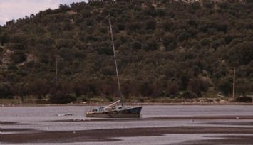 Dikili'de deniz çekmesi 50 metreyi buldu