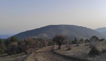 İzmir’de yine tarım ve orman alanına rüzgar enerji santrali