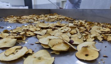 Sındırgı, jeotermalle cips kıvamında meyve ve sebze üretiyor