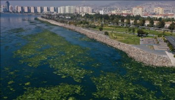 İzmir için kritik uyarı: Müsilaj kaçınılmaz