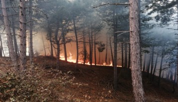 İzmir’de ormanlık alanda yangın