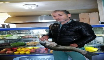 Evlat dehşeti