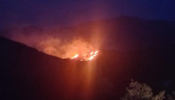 Bodrum'da ormanlık alan yanıyor
