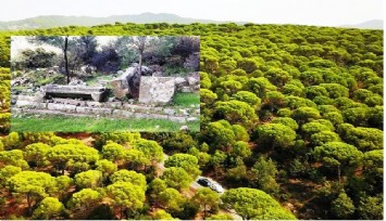 İzmir’de antik kentte dinamit kullanacak taş ocağı TBMM gündeminde