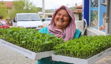 Buca'da üreticiye 100 bin sebze fidesi