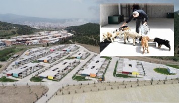 İzmir Büyükşehir Belediyesinden can dostlar için önemli yatırım