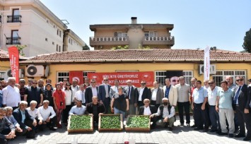 1 milyon 153 bin Ata Tohumu’ndan fide Muğla çiftçisiyle buluştu