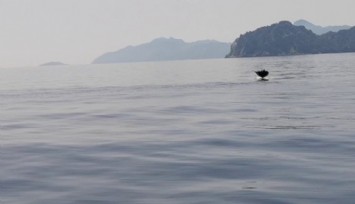 Marmaris'te 'hayalet' sürprizi