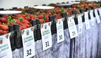 Emiralem Çilek Festivali'ne rekor katılım