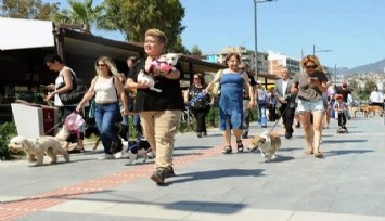 Karşıyaka Belediyesinden can dostlar için farkındalık yürüyüşü 