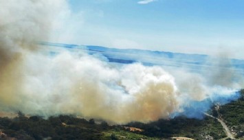 İzmir’in iki ilçesindeki orman yangınlarında 12 hektarlık alan zarar gördü  