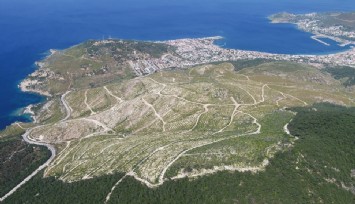 İzmir’in yanan alanları yeşillendi