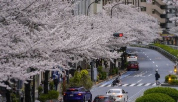 Japonya 2 yıl sonra sınırları açtı