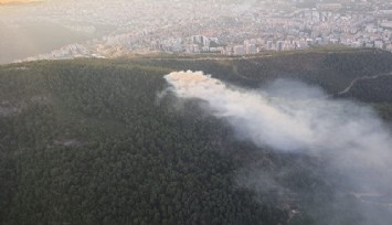 İzmir'de ormanlık alanda yangın  