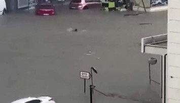 Sel sularından yüzerek kaçtı