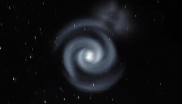 Yeni Zelanda’da spiral kafa karıştırdı