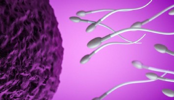 İngiltere’de sperm kıtlığı
