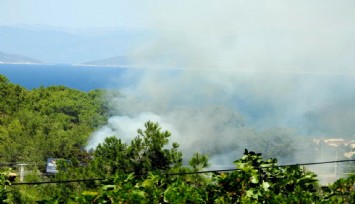 İzmir Çeşme’de çıkan orman yangınına ilk müdahale 5 dakikada yapıldı