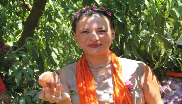 Selçuk, şeftali ile şenlendi